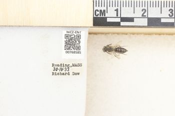 Media type: image;   Entomology 768585 Aspect: Labels